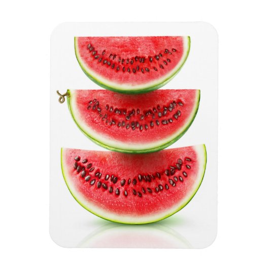 Wassermelone Magnet (Vertikal)