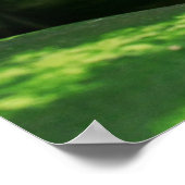 Wassermelone Poster (Ecke)