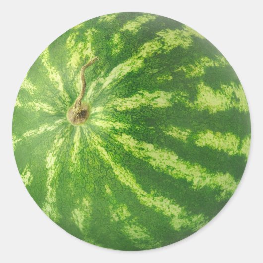 Wassermelone Runder Aufkleber (Vorderseite)