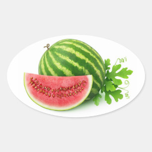 Wassermelonen Ovaler Aufkleber