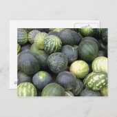 Wassermelonen Postkarte (Vorne/Hinten)