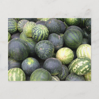Wassermelonen Postkarte