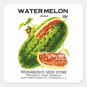Wassermelonen-Samenpackungs-Etikett Quadratischer Aufkleber