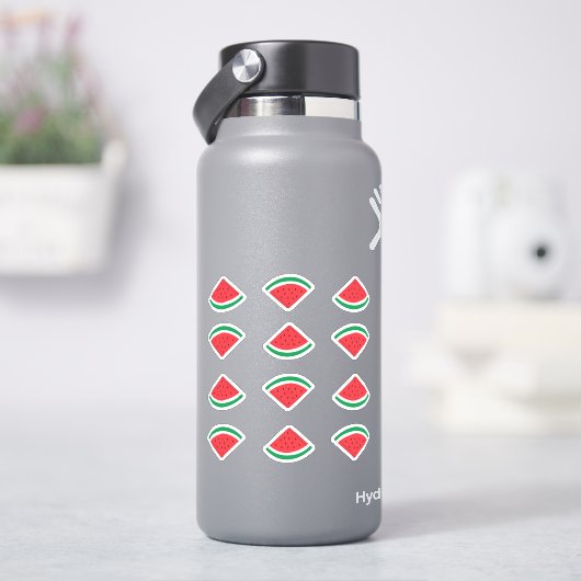 Wassermelonenkeil-Aufkleber-Packung Aufkleber (HydroFlask)
