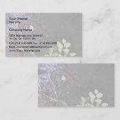 Wassermoccasin, Cottonmouth, Agkistrodon piscivoru Visitenkarte (Vorne/Hinten)