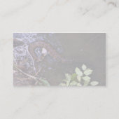 Wassermoccasin, Cottonmouth, Agkistrodon piscivoru Visitenkarte (Rückseite)