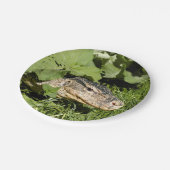 Wassermonitoreidechse Pappteller (Schrägansicht)