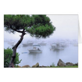 Wassernebel (Vorderseite (Horizontal))