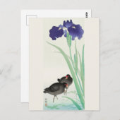 Wasserpfeifen und Iris-Malerei von Ohara Koson Postkarte (Vorne/Hinten)
