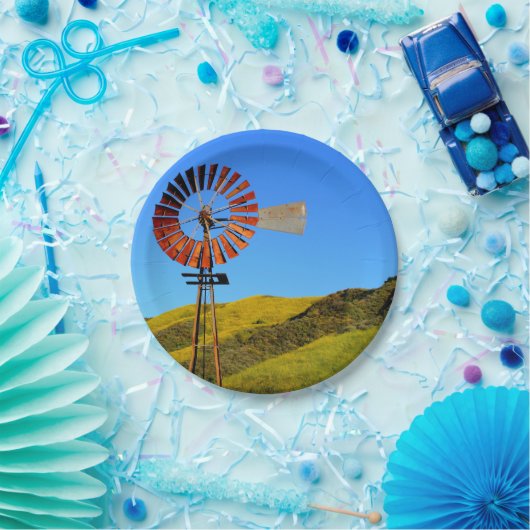 Wasserpumpen-Windmühle Pappteller (Party)