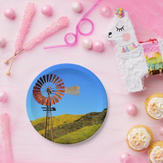 Wasserpumpen-Windmühle Pappteller (Party)