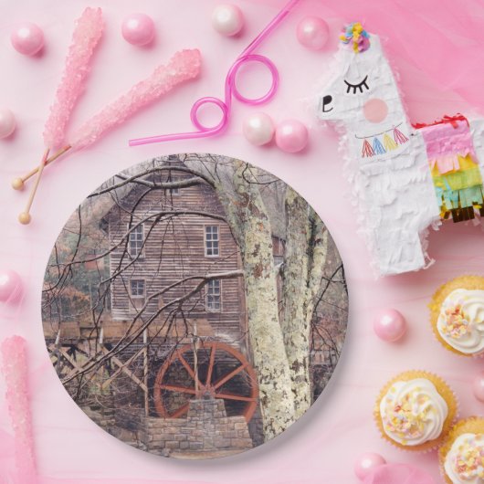 Wasserrad Pappteller (Party)