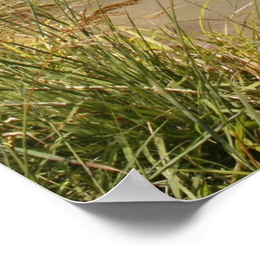 Wasserrad Poster (Ecke)