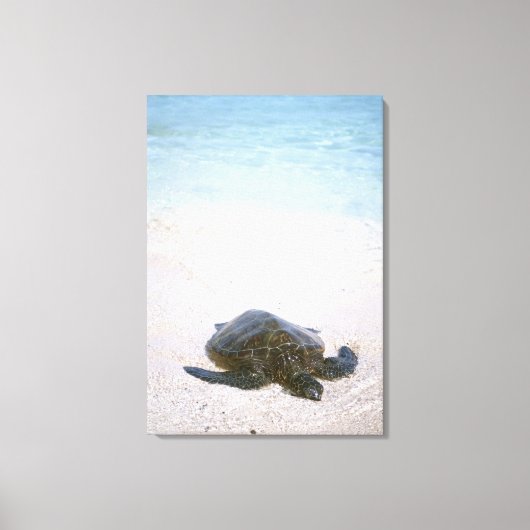 Wasserrand Leinwanddruck (Vorderseite)