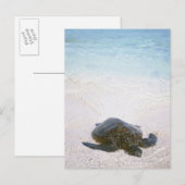 Wasserrand Postkarte (Vorne/Hinten)