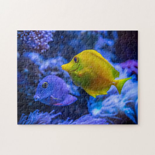 Wasserrätsel Wassertauchen Wasserfische Fotos Meer Puzzle (Horizontal)