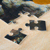 Wasserrätsel Wassertauchen Wasserfische Fotos Meer Puzzle (Seite)