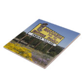 Wasserscheide, New Mexiko, Weg 66 Fliese (Seite)