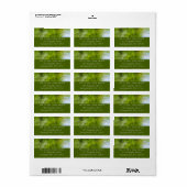 Wasserschläger im Laurel Hill Staat Park Adressaufkleber (Vorne)