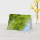 Wasserschläger im Laurel Hill Staat Park Karte (Gelbe Blume)