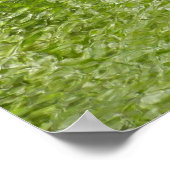 Wasserschläger im Laurel Hill Staat Park Poster (Ecke)