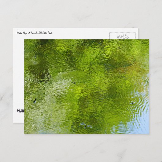 Wasserschläger im Laurel Hill Staat Park Postkarte (Vorne/Hinten)