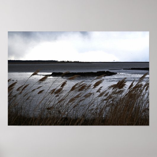 Wasserschutzplakat Poster (Vorne)