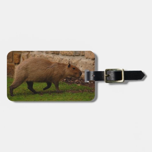 Wasserschwein Gepäckanhänger (Vorderseite horizontal)