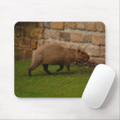 Wasserschwein Mousepad (Mit Mouse)