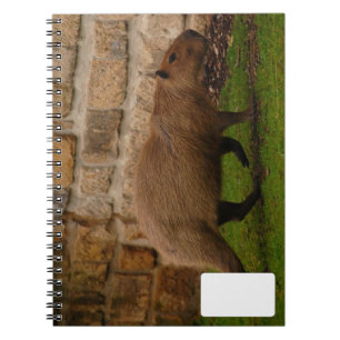 Wasserschwein Notizblock