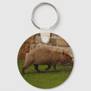 Wasserschwein Schlüsselanhänger