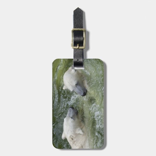 Wasserspass Eisbären Gepäckanhänger (Vorderseite vertikal)