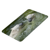Wasserspass Eisbären Magnet (Linke Seite)