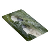 Wasserspass Eisbären Magnet (Rechte Seite)