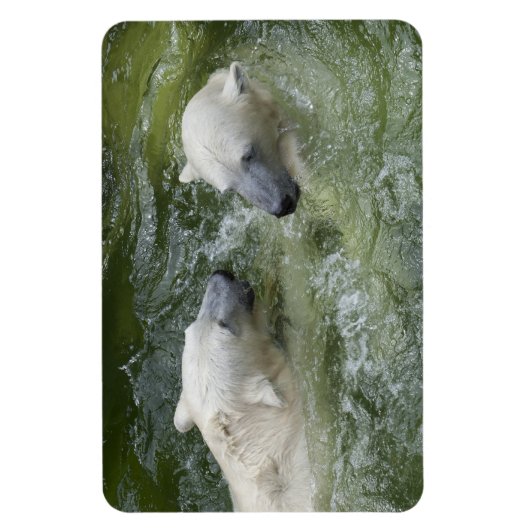 Wasserspass Eisbären Magnet (Vertikal)