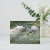 Wasserspass Eisbären Postkarte (Stehend Vorderseite)