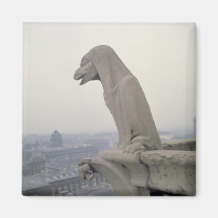 Wasserspeier auf der Balustrade von dem großen Magnet