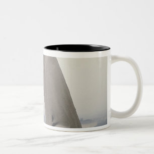 Wasserspeier auf der Balustrade von dem großen Zweifarbige Tasse