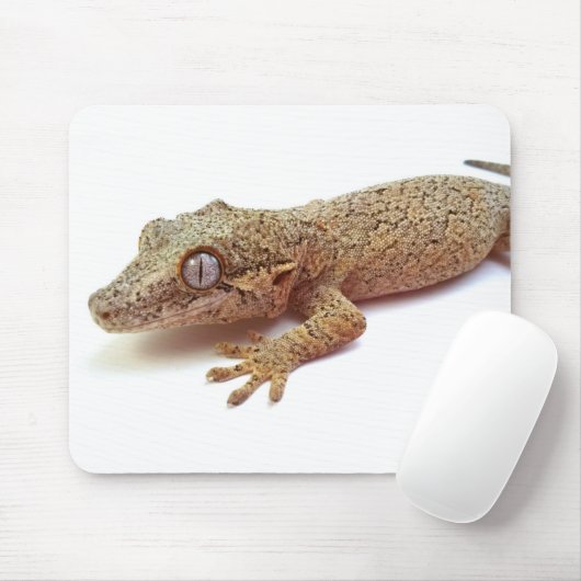 Wasserspeiergecko-Mausunterlage Mousepad (Mit Mouse)
