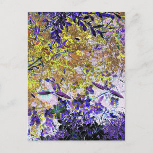 WASSERSPIEGEL POSTKARTE