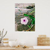 Wasserspinat-Blume im Damm Poster (Küche)