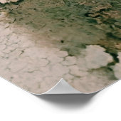 Wasserspinat-Blume im Damm Poster (Ecke)