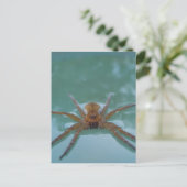 Wasserspinne Postkarte (Stehend Vorderseite)