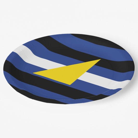 Wassersportflagge Pappteller (Schrägansicht)