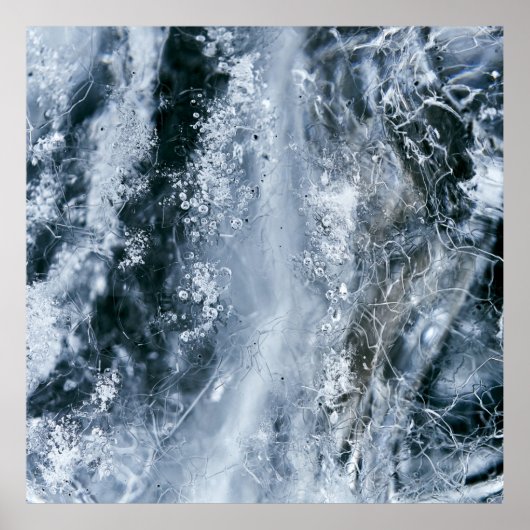 Wasserspritze auf weißem Grund Poster (Vorne)