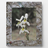 Wasserspülung Regenfall Geschenke Fotoplatte (Vorderseite)