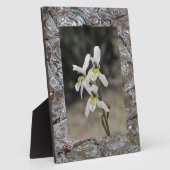 Wasserspülung Regenfall Geschenke Fotoplatte (Seite)