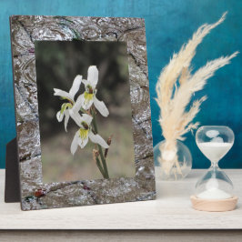 Wasserspülung Regenfall Geschenke Fotoplatte