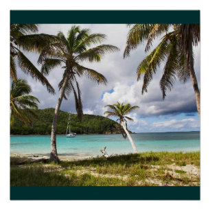Wasserstrand Tropical Green Nature Name Persönlich Poster
