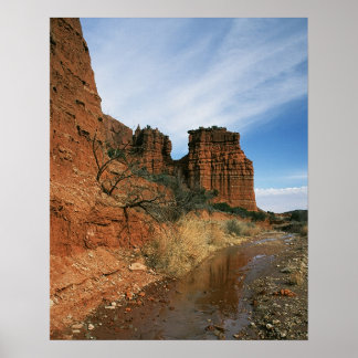 Wassersuche Poster